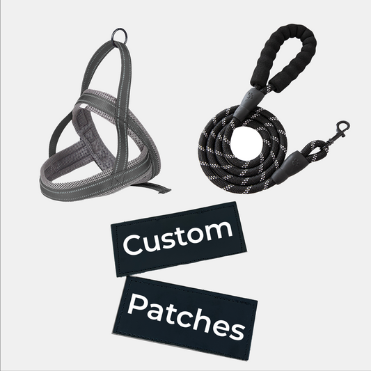 Wag Adventures Bundle: Harness, Lead & Name Patches