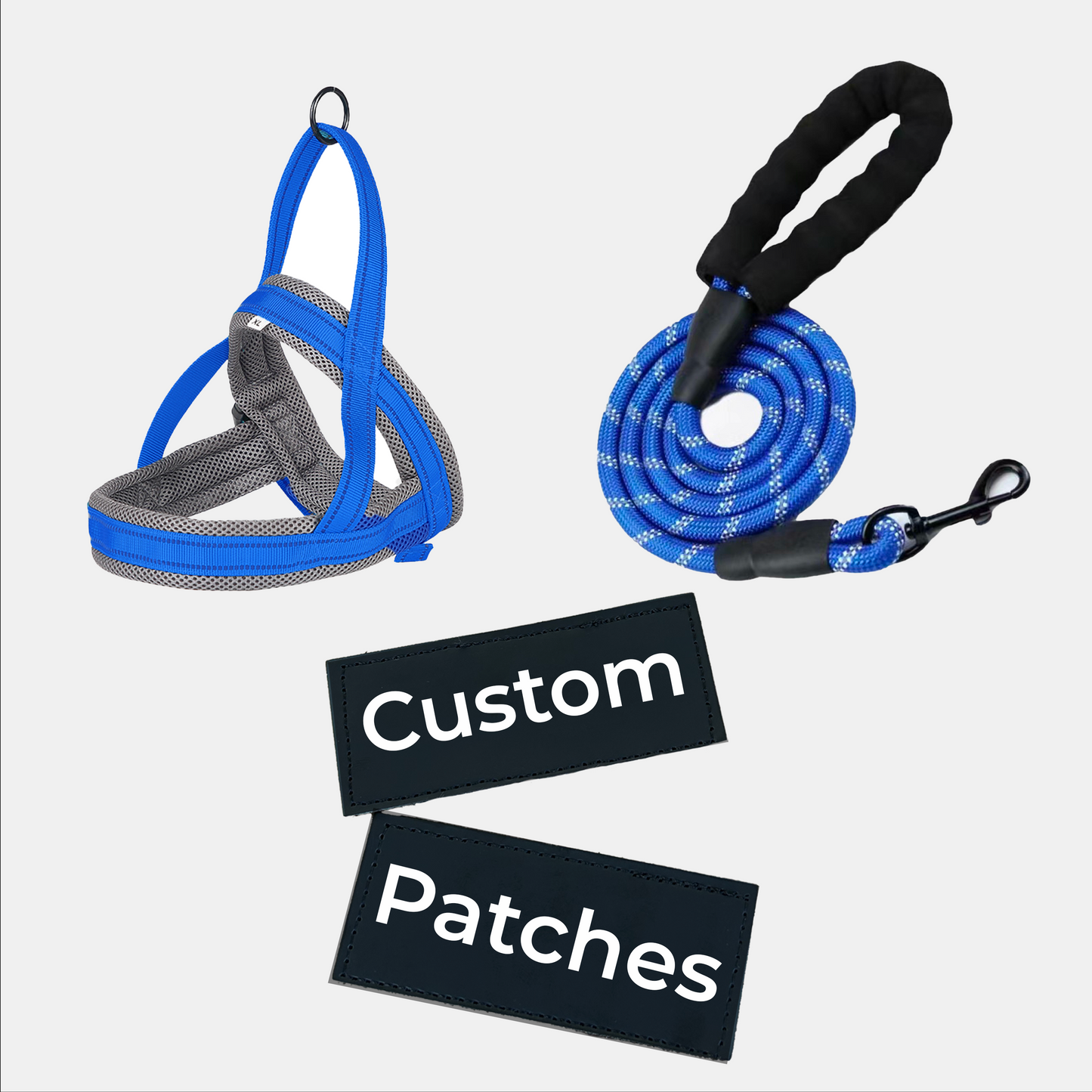 Wag Adventures Bundle: Harness, Lead & Name Patches