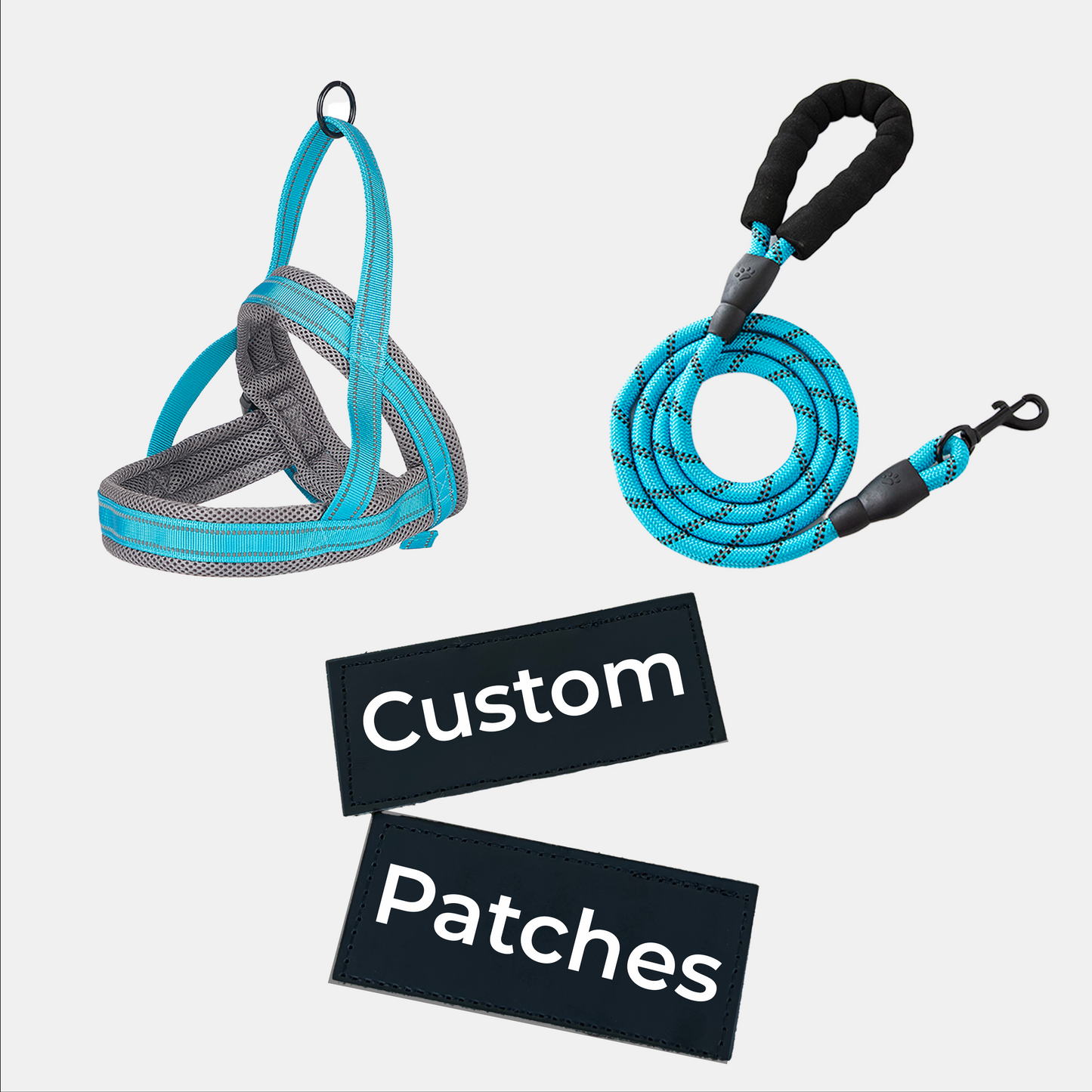 Wag Adventures Bundle: Harness, Lead & Name Patches